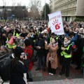 Profesori Slobodnog univerziteta u Novom Sadu sutra organizuju akciju Potraga za rektorom