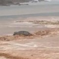Velike poplave u argentini: Evakuisane hiljade ljudi, najavljene nove oluje i padavine