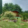 Raspisan nagradni konkurs za izbor najlepšeg dvorišta