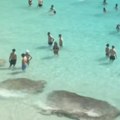 Prelepa plaža na majorki postala je pretrpana i zagađena Lokalci se bune, ali turisti ne odustaju