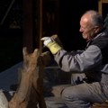 Kako od drveta nastaju oblici u rukama drvorezbara sa Zlatara