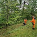 Čišćenje, košenje i uređenje javnih površina širom Niša