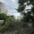 Olujno nevreme pogodilo Čačak, u dvorištu OŠ “Milica Pavlović“ pao veliki deo drveta