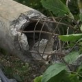 "Ovakvu štetu nisam video za svojih 80 godina!" Nevreme napravilo haos u ovom delu Srbije: Grad i olujni vetar uništili useve…