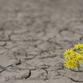 Mreža naučnika WWA: Klimatske promene pogoršavaju sušu i isparavanje vode širom Evrope