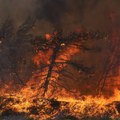 Veliki požar u okolini Bogdanaca u Severnoj Makedoniji