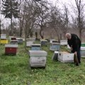 Loša godina za pčelare