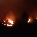 Izbio požar iznad Ibarske magistrale Vatra buknula na padinama Žaračke planine kod Ušća, gori nisko rastinje i šuma