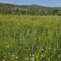 U ponedeljak vreme promenljivo oblačno sa kišom