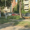 Beograd izgubio deset odsto zelenila za dve decenije: Temperature sve više, drvoreda sve manje