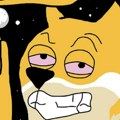 Tramp ide "all in" na Doge, ali Maxi Doge je jedina meme kriptovaluta koja ide do kraja, ostalo je još 15 sati