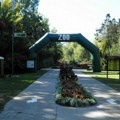 Vanredni inspekcijski nadzor u Zoo vrtu Palić: Životinje u dobrom zdravstvenom stanju