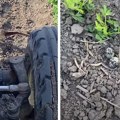 Ptica zaustavila traktor kako bi spasila potomstvo: Lepši snimak od ovog danas nećete videti!