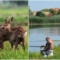 Srbobranski lovci i ribolovci u zajedničkoj misiji: Tihi čuvari prirode, divljači i vodenih ekosistema