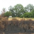 Alarmantna situacija u pomoravskom okrugu Paljenje strništa opasno i štetno