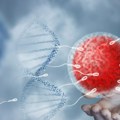 Prva transplantacija na svetu: Muškarac povratio održivu spermu iz tkiva testisa iz detinjstva