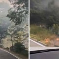 "Nismo videli nijedno vatrogasno vozilo": Šavnik u plamenu, veliki požari gutaju šumu, gust dim prekrio puteve
