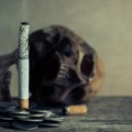 Poražavajući podaci o broju pušača u Srbiji