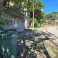 Bivša dekanka Biološkog fakulteta: Umesto da postane neka vrsta turističke atrakcije, kome smeta tramvaj „Dvojka“?