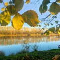U Srbiji pretežno sunčano, temperature do 20 stepeni
