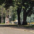 Posle sunčanog prepodneva umereno naoblačenje, temperatura do 20 stepeni