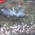 (Video) Ruskim vojnicima život spasila: - svinja! Nesvakidašnja scena sa ukrajinskog fronta, svi gledaju u čudu šta se dogodilo…