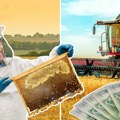 Velika ulaganja države već na početku godine: Milioni za voćare, mlekare, pčelare i lokalne samouprave