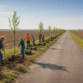 Inicijativa „Zasadi svoj trag“: Da li je na pomolu novi model pošumljavanja Vojvodine? Inicijativa "Zasadi svoj trag"