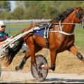 14. Vojvođanski galop