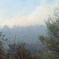 Požari kod Nikšića i Trebinja, angažovani vatrogasci, vojska i helikopter