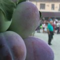 Fijakerijada, izbor najlepšeg suvenira i još puno toga na Šumadijskim danima šljive