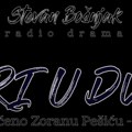 Niški kulturni centar izvodi radio dramu, koja je svojevremeno bila objavljena u „Gradini“