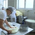 Pirot: Stipendije za buduće majstore kačkavalja