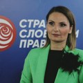 Živanović: Dašićevo pismo budućnosti skriva stvarnu prošlost i sramotno nasleđe SNS-a