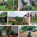(Foto) Izabrane najlepše bašte u Sremskim Karlovcima: Ugođaj za oko i dušu