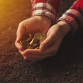 Fiskalni savet: Srbiji potrebna temeljna reforma poljoprivrede, novac nije problem već način na koji se troši