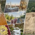 Na području planiranog rudnika kod Zaječara evidentirano 117 zaštićenih vrsta