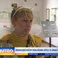 Kragujevački mališani učili o značaju pčela VIDEO