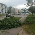 (Video, foto) vetar čupao drveće u beogradu: Nevreme se zahvatilo i prestonicu, hitno upozorenje RHMZ, tokom noći pljuskovi…