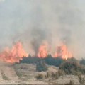 Grom udario u drvo i napravio katastrofu: Veliki požar kod Gornjeg Milanovca usred nevremena
