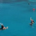 Srpkinja otišla da pliva sa svinjama u moru, pa debelo zažalila - uskoro je plivala kao da je đavo goni: "Samo iz daljine…