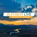 Novi promo spot Turističke organizacije Zlatibor inspirisan letom sivog sokola (video)