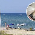 Uznemirujući snimak iz omiljenog srpskog letovališta u Grčkoj: Kamere snimile zver kako šeta ulicama (video)