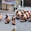 Uznemirujući snimci iz gaze! Goli zarobljenici kleče nasred ulice, ko su oni!? (video)