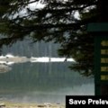 Novi zakon o šumama u Crnoj Gori ukida pogubne koncesije