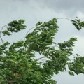 Vetar nosio krovove kuća: Snažno nevreme pogodilo BiH: Oborena stabla, saobraćaj u kolapsu (foto/video)