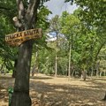 Gradska bašta u srcu Tvrđave – idealan beg od užurbanog života u prirodu i među životinjama