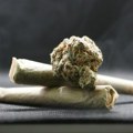Uhapšena dva mladića u Beogradu: Marihuana im poslata iz Madrida