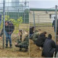 „Zoohigijena” obeležila svetski dan životinja Za 35 pasa nada za novi početak
