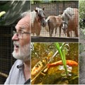 Deponija postala oaza prirode i utočište za životinje Zoo-vrt „Koki” već 30 godina ne naplaćuje ulaznice!